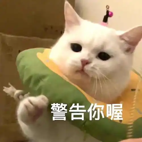视频里常用的表情包分享
