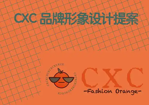 cxc橙子时尚品牌vi手册一宣传手册

