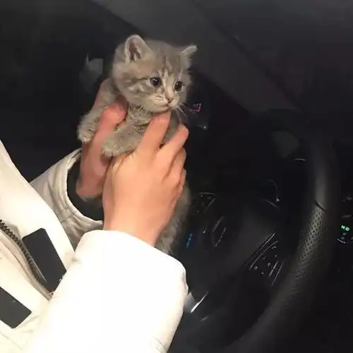 头像不要怀念任何人走了的人和死了没两样
