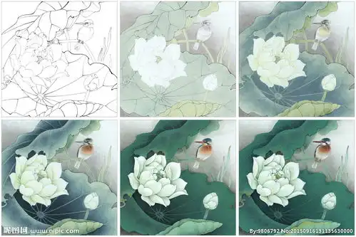 工笔画翠栖白荷图线稿上色步骤图片
