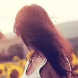 叶子新闻全集叶子最新资讯yy官方
