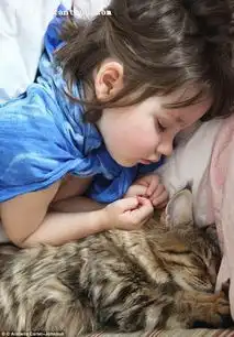 日本猫咪店长人气旺卖萌揽客还能带来好运
