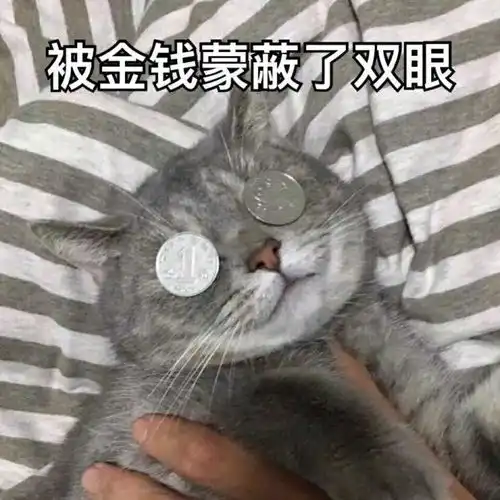 天好冷,来点沙雕文案吧
