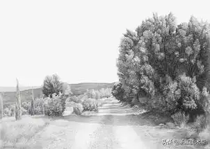 美术生的福利,世界三大风景素描高手经典作品集锦
