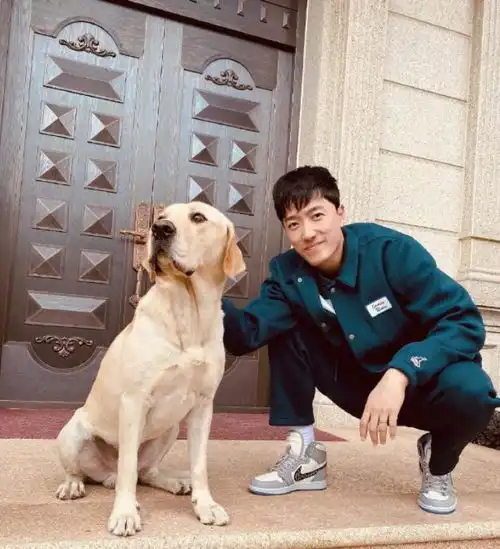 37岁刘翔退役没工作,浇花遛狗生活滋润,和二婚妻子至今没孩子
