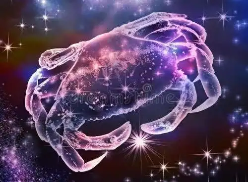 有上进心,从不让长辈失望的星座
