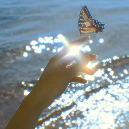 给人一种阳光的头像图片
