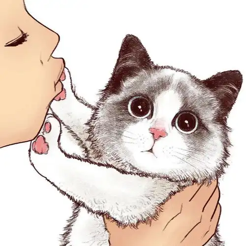 手绘头像可爱猫咪插画头像
