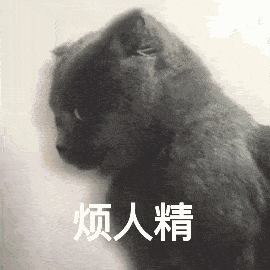 情头男生会喜欢蠢蠢的女生吗
