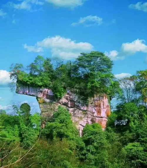 这个夏天成都这里的萤火虫,让你不用再回答娃娃的问题爸爸妈妈,萤火虫是不是也能打双闪啊
