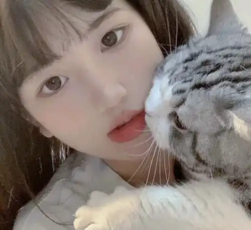 男女生头像推荐
