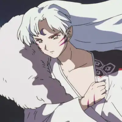 犬夜叉动漫头像玲杀生丸
