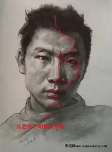 素描的人头像明暗交界线怎么找才准
