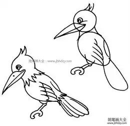 一组小鸟的简笔画图片

