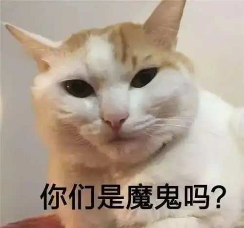 宠物店提供共享猫咪服务,生意还很火爆猫咪心里会怎么想呢
