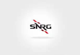 工程服务公司snrg动态标志设计vi设计螺旋形装饰图形与字母的完美结合
