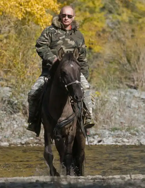 马斯克扬言单挑普京,赌注是乌克兰更可悲的是,基辅市长点赞了
