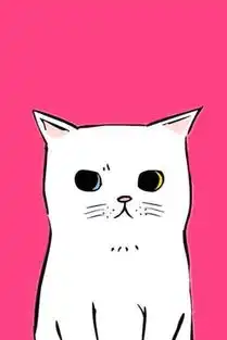 猫了个咪
