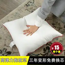 一对装可水洗抱枕芯高弹沙发靠垫芯腰靠枕芯子4550正方形定做图片大全邮乐官方网站
