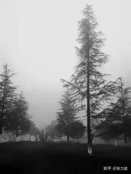 发朋友圈时,什么样的照片更容易获得点赞
