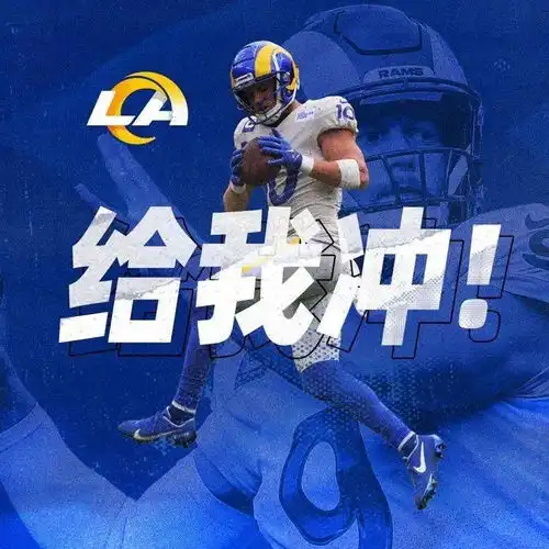 给我冲换上主队头像,nfl主队势力1
