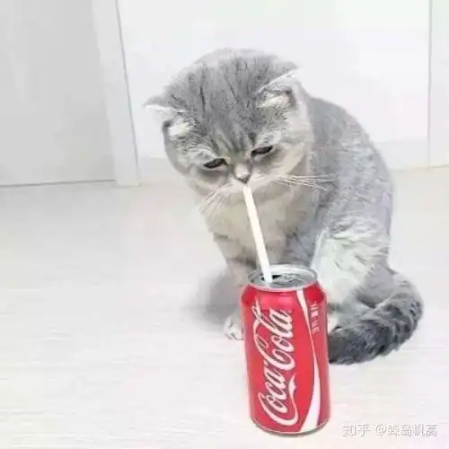 有没有好看的动漫微信头像
