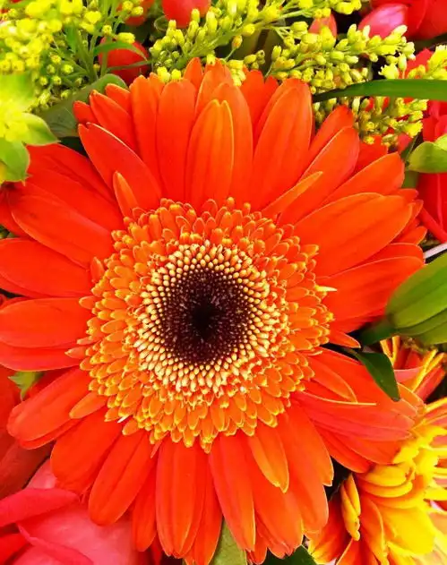 超精辟的感悟句子,精致有个性,值得一看
