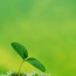 微信头像适合中年妈妈用的风景头像
