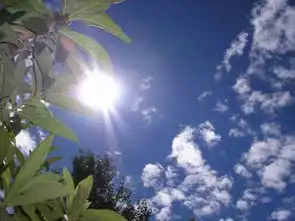 吉林省28日天气晴朗正是出游好时机
