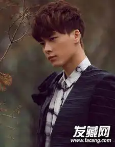 学会烫发才时髦2015男生短发烫发图片7
