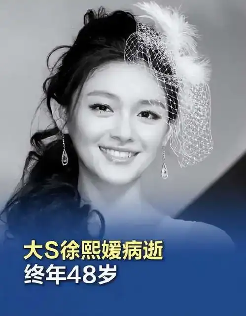 大s离世后的家庭风波s妈头像引争议,亲友如何面对悲痛
