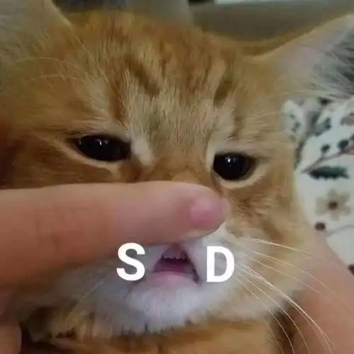 有什么让人一看就觉得这个人好有意思啊的文案
