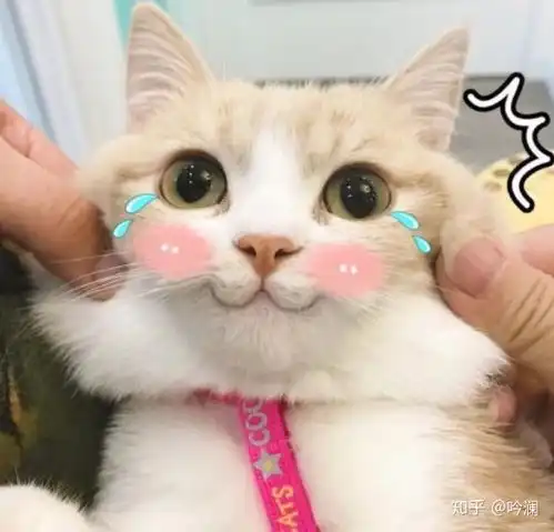 热水器推荐燃气热水器还是电热水器,一篇文章告诉你
