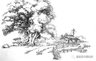 风景速写树的画法
