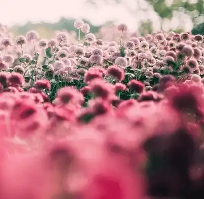 励志人生再难也要坚持,再差也要自信
