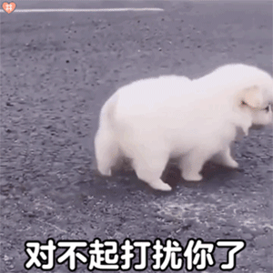 你们要的新年情头来啦

