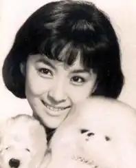 甄珍婚变,甄珍老公是谁资料,甄珍与前夫刘家昌离婚分10亿家产
