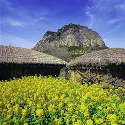 中旅总社重庆公司春游线路多姿多彩组图
