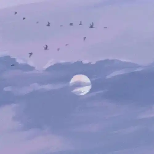 一组背景图头像套图
