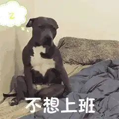 第一天上班可以发的沙雕文案
