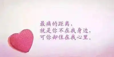 我的心,你懂吗别瞎扯,说真话
