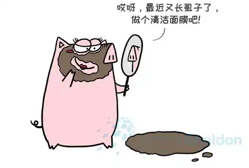 9个关于猪猪的冷知识,刷新猪年认知
