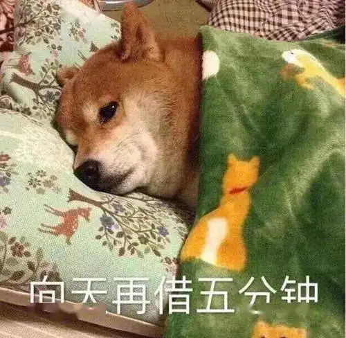 今天你立flag了吗
