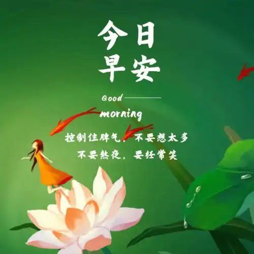 适合发朋友圈的早安句子美好的一天唯美图片早安表情动态图片
