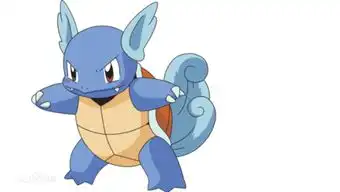 神奇宝贝杰尼龟的进化型是
