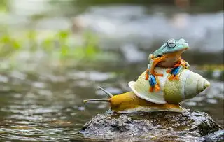 精彩瞬间英媒选出2015年度最惊人照片
