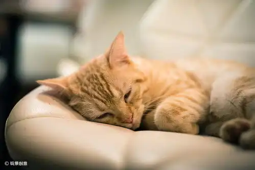 夜惊打鼾宝宝这些睡眠问题,不重视可能后果严重
