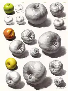 100天学习,零基础中央美院素描视频教程,从入门到大神
