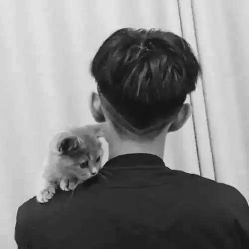 毕竟他们曾陪我们度过一段美好的时光
