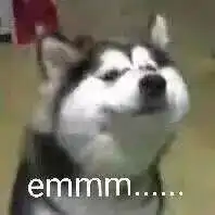 微信适合中年人00后又用回qq了看完太扎心了
